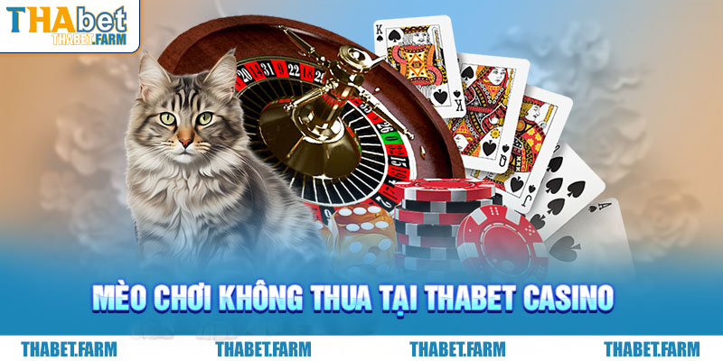 Mẹo chơi casino thabet dễ thắng nhất