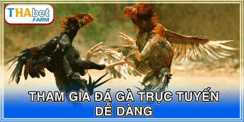 Tham gia đá gà online cực dễ tại nhà cái Thabet